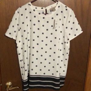 Loft short sleeve blouse large